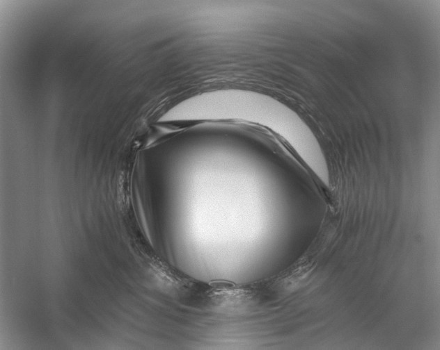 X0000056320428200509231951