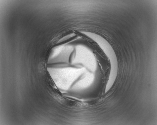 X0000056320429200509231951