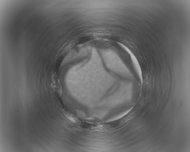 X0000056320430200509231951
