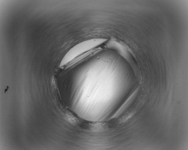 X0000056320432200509231951