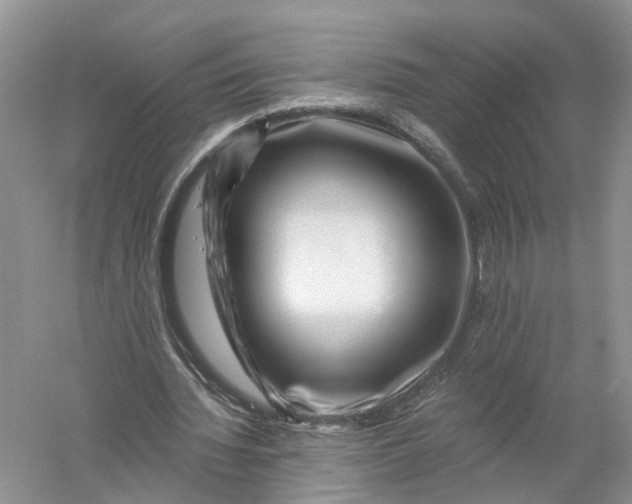 X0000056320436200509231951