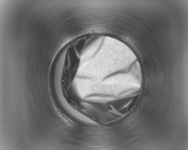 X0000056320439200509231951