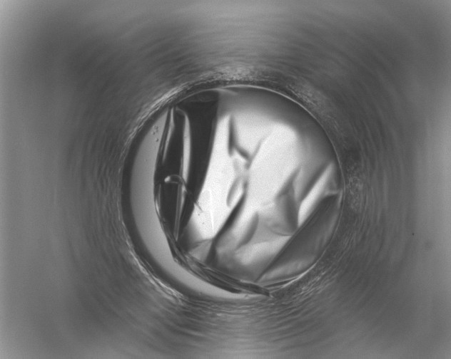 X0000056320442200509231951