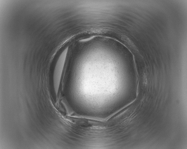 X0000056320444200509231951