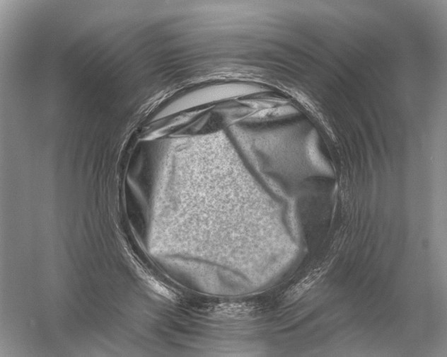 X0000056320445200509231951