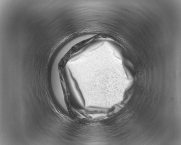X0000056320446200509231951