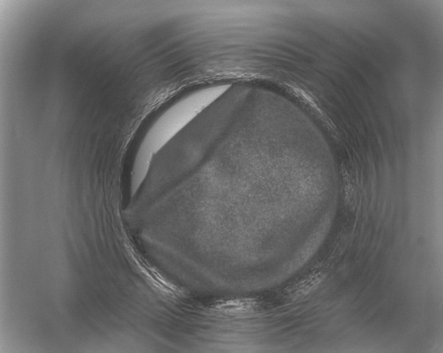 X0000056320447200509231951