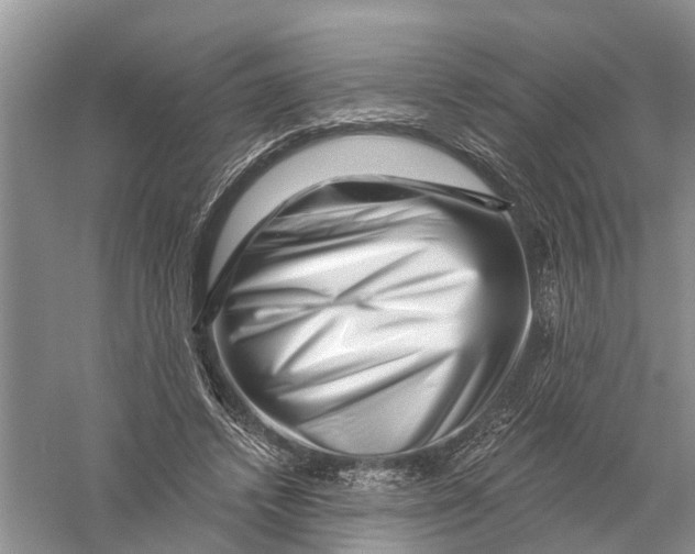 X0000056320448200509231951