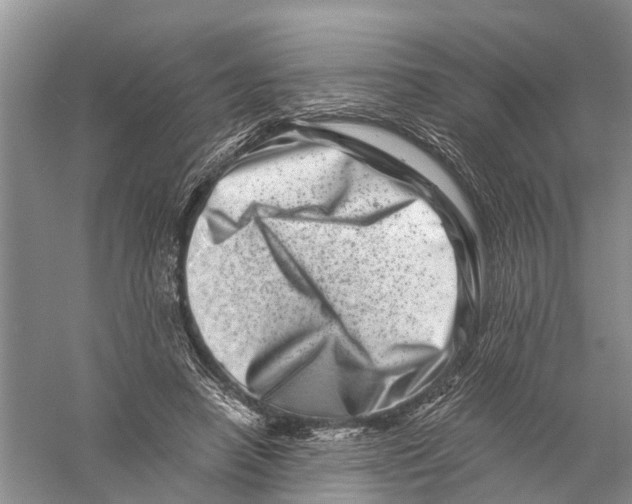 X0000056320450200509231951