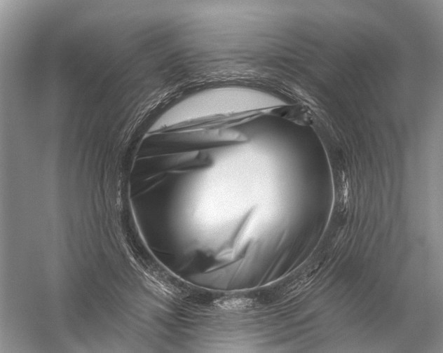 X0000056320452200509231951