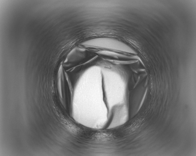 X0000056320453200509231951