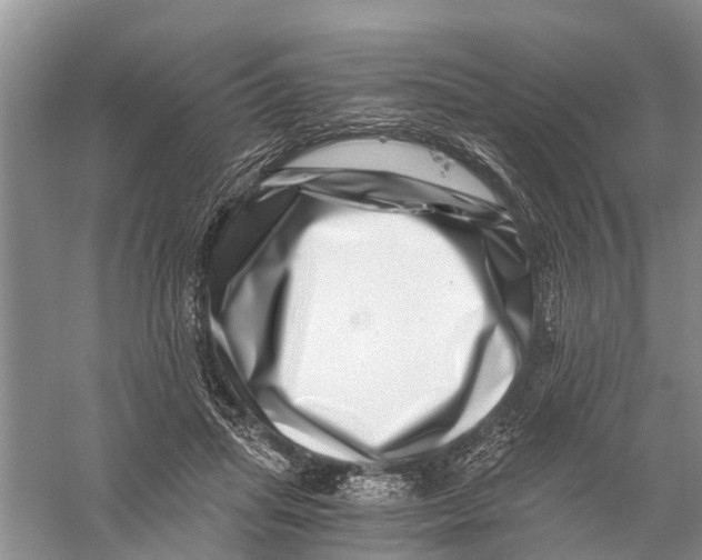 X0000056320455200509231951