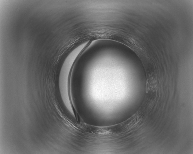 X0000056320456200509231951