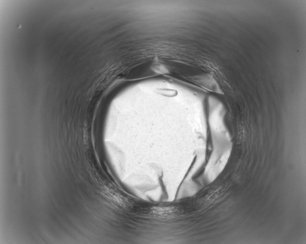 X0000056320457200509231951