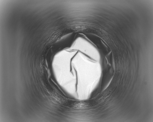 X0000056320460200509231951