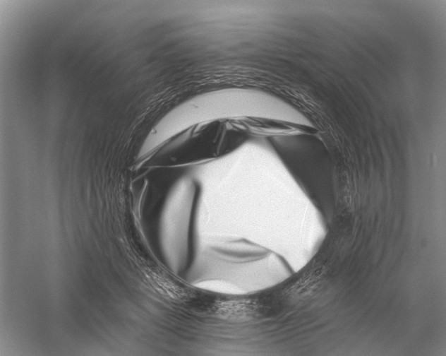 X0000056320461200509231951