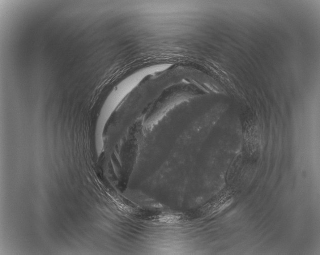 X0000056320462200509231951