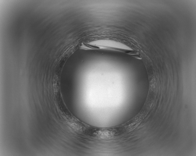 X0000056320464200509231951
