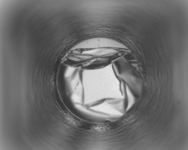 X0000056320466200509231951