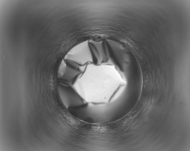 X0000056320469200509231951