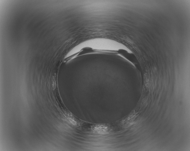 X0000056320471200509231951
