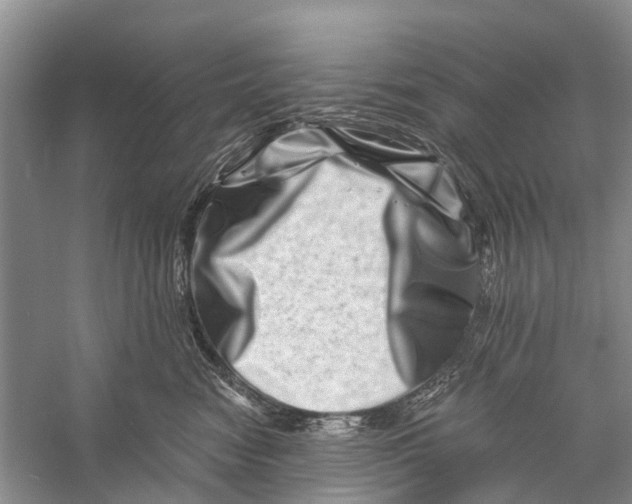 X0000056320474200509231951