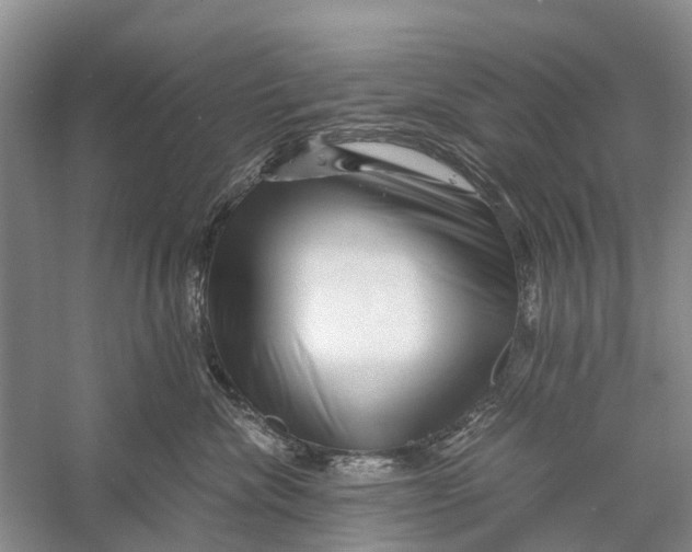 X0000056320476200509231951