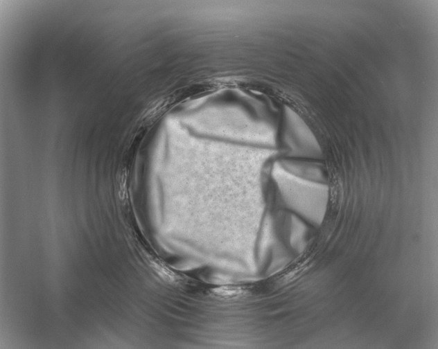 X0000056320477200509231951