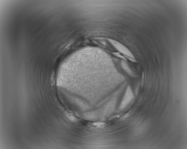 X0000056320478200509231951