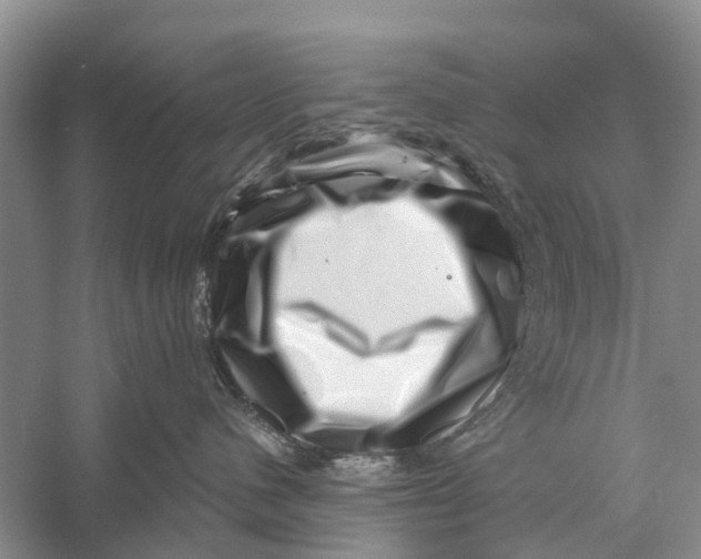 X0000056320480200509231951