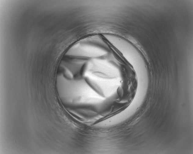 X0000056320481200509231950