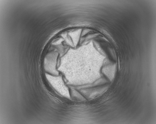 X0000056320483200509231950