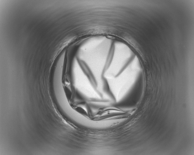 X0000056320485200509231950