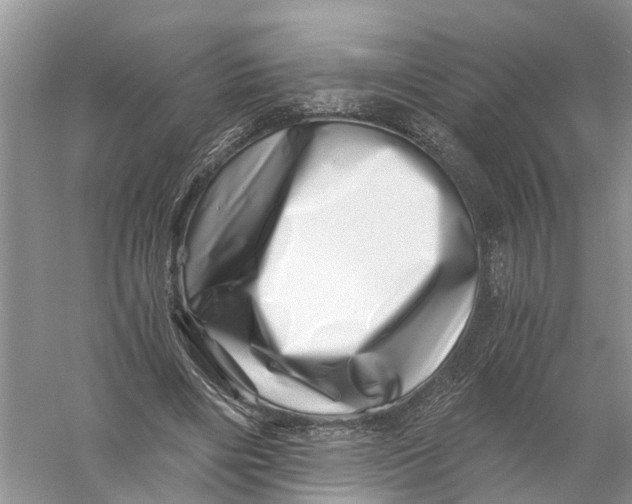 X0000056320490200509231950
