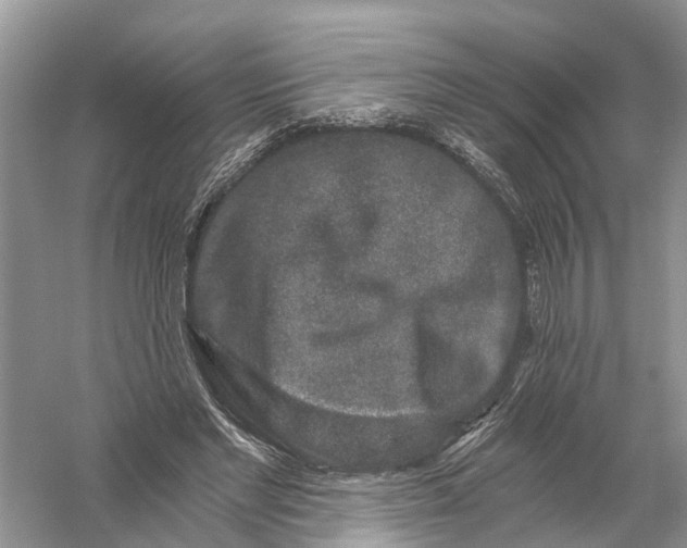 X0000056320493200509231950
