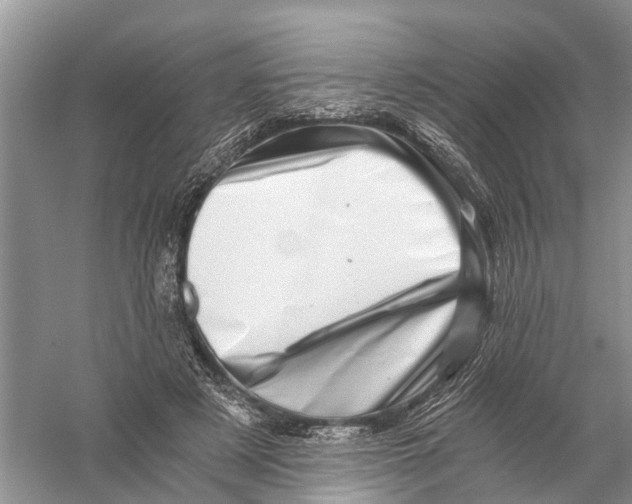 X0000056320497200509231950
