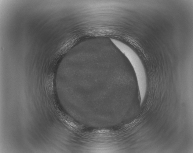 X0000056320501200509231950