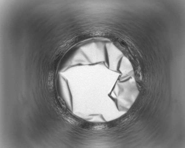 X0000056320505200509231950