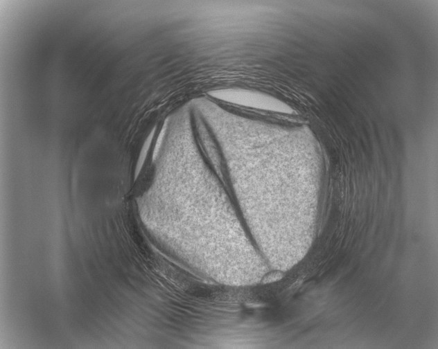 X0000056320511200509231950