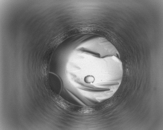 X0000056320514200509231950