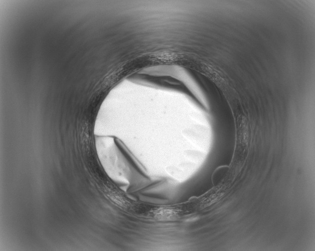 X0000056320518200509231950