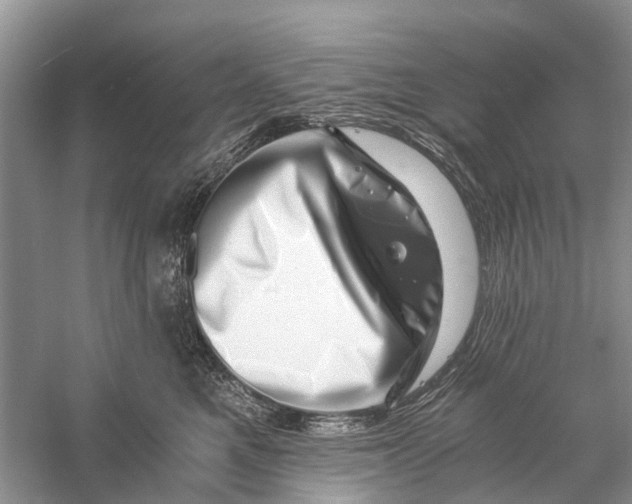 X0000056320521200509231950