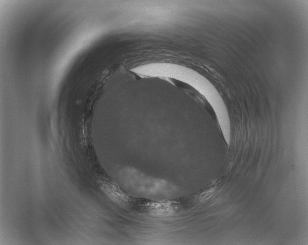 X0000056320524200509231950