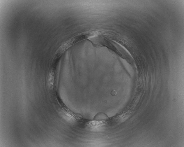 X0000056320526200509231950
