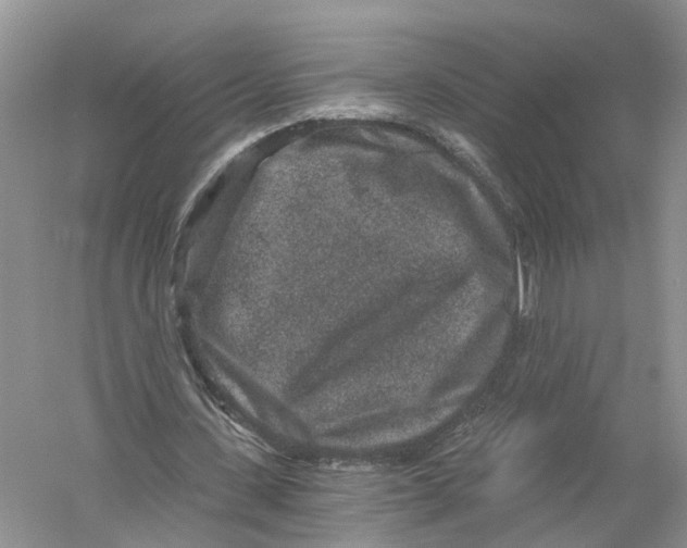 X0000056320531200509231949
