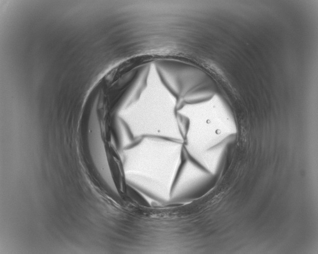 X0000056320532200509231949