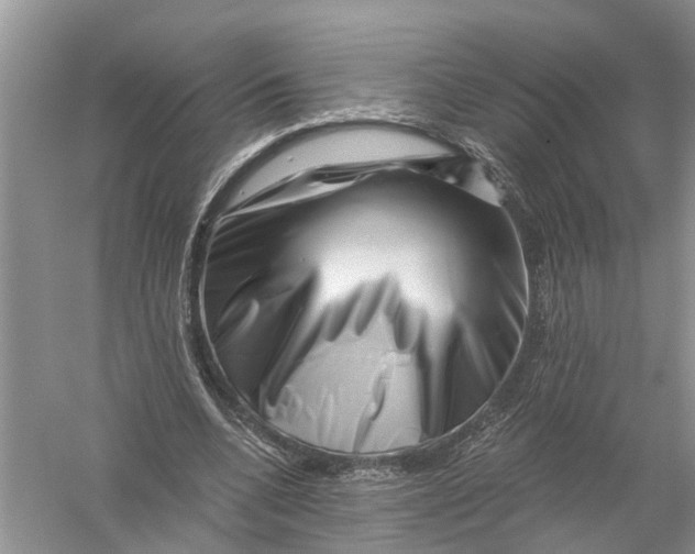 X0000056320536200509231949