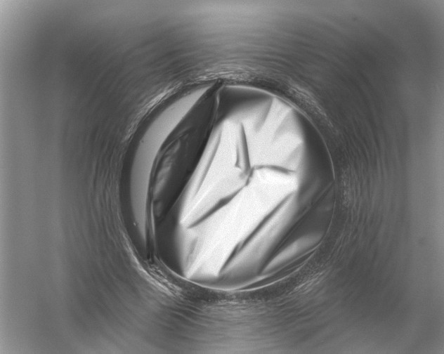 X0000056320538200509231949