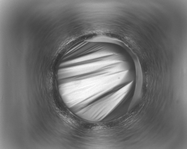 X0000056320544200509231949