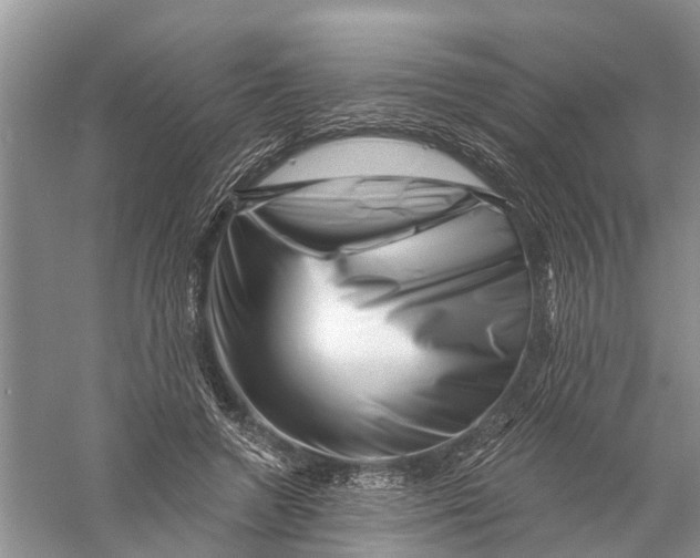 X0000056320546200509231949